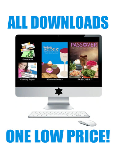 All 30 Minute Seder downloads for only $30